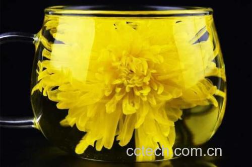 柿子花泡水成品图