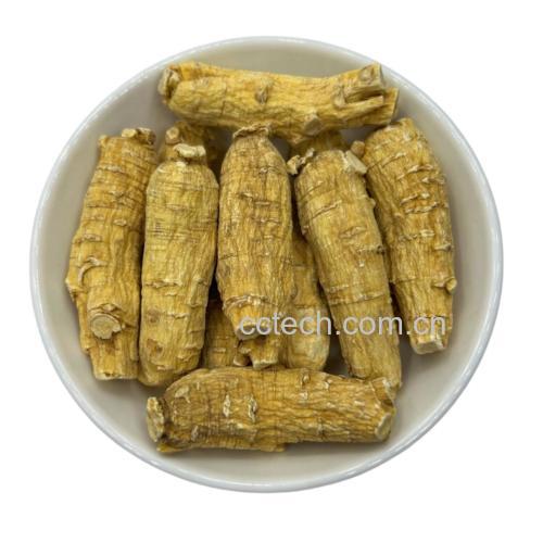 鲜人参泡水的冲泡过程
