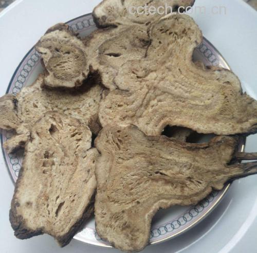 白术片外观展示图