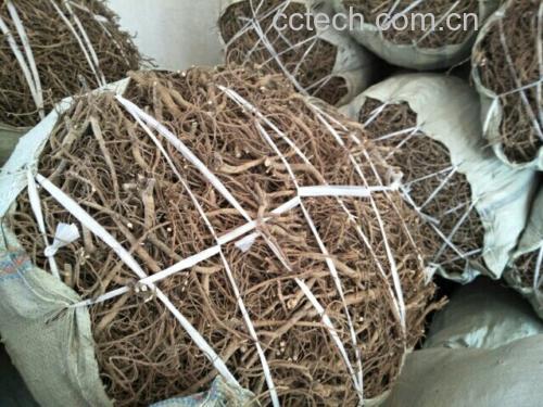 北柴胡成品药材与包装展示