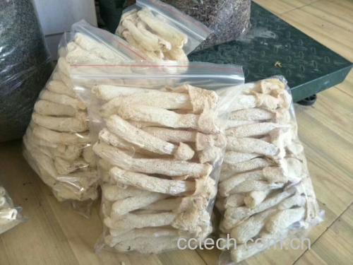 长裙竹荪选购对比图