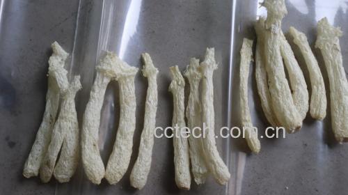 竹荪初步清洗