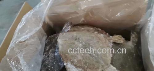 多宝鱼冷冻保存示意图