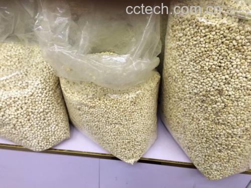 川贝母品质检测图示