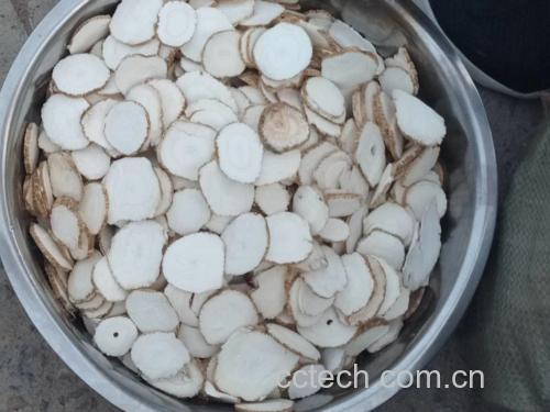 白芷花与中药材搭配炖汤
