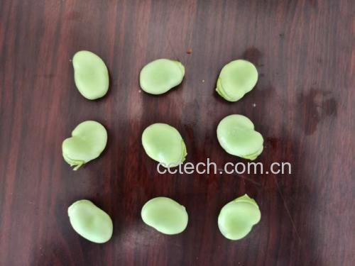 煮蚕豆的成品图