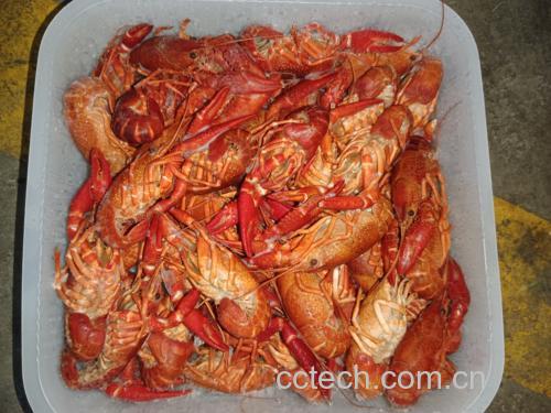 麻辣小龙虾成品图
