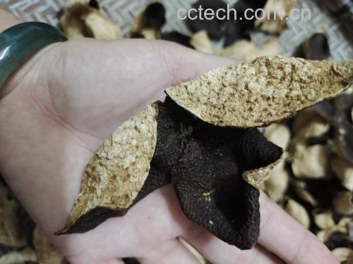 川贝陈皮柠檬膏制作原料展示