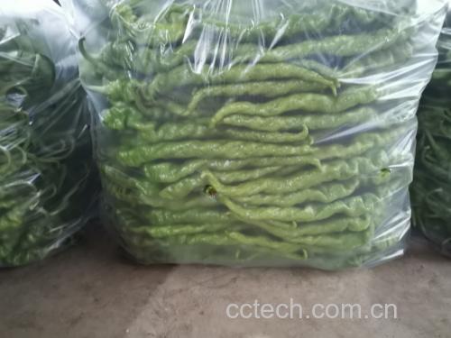 海螺与柿子的食材对比