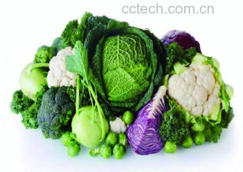 空心菜与油麦菜营养成分对比图