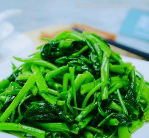 空心菜与油麦菜的烹饪对比