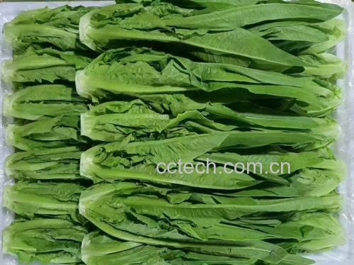油麦菜炒鸡蛋成品图