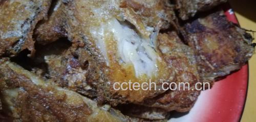 带鱼多种烹饪方式展示