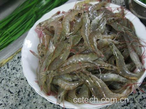 小葱与虾皮的食材准备