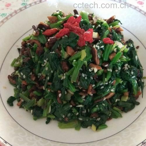 菠菜与其他蔬菜搭配的沙拉