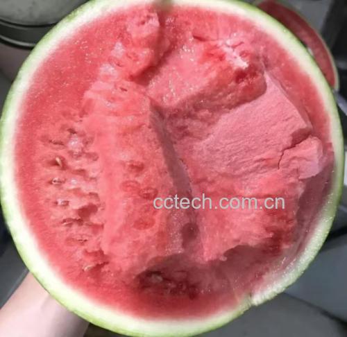 西葫芦切开后的内部结构,显示其白色果肉和细小种子