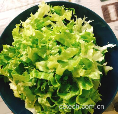 生菜在沙拉中的应用