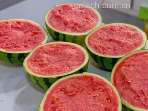 8424西瓜白籽制作的健康零食