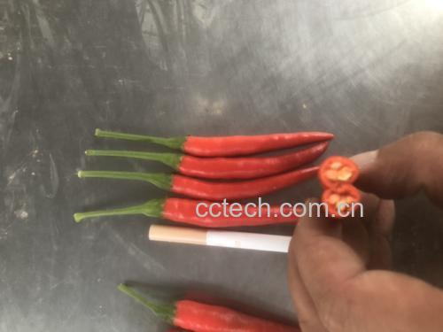 辣椒营养成分对比表