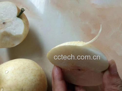 翠冠梨切开展示果肉