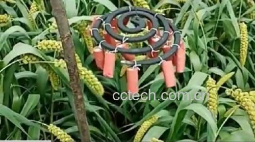 花椒与驱蚊食材