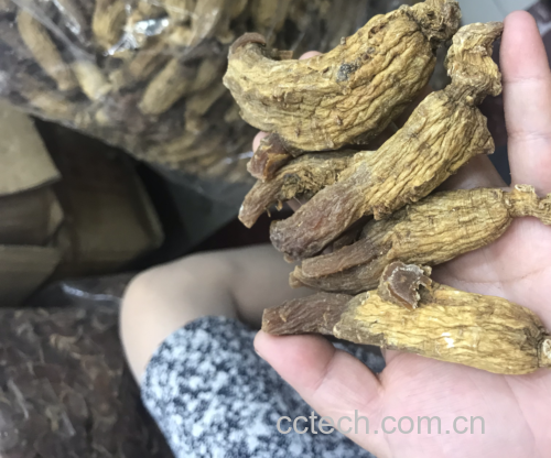 高丽参与女性健康