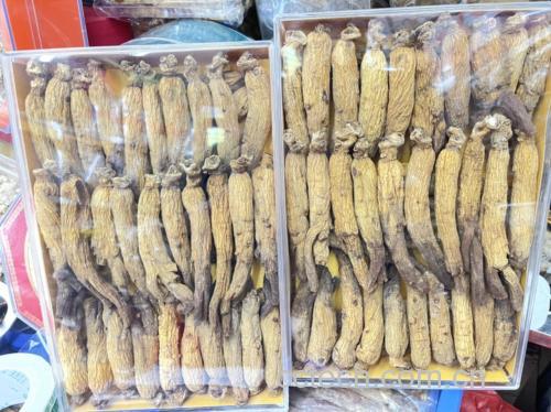 高丽参元产品展示图