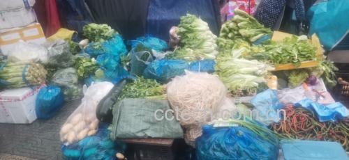 新鲜鱼腥草市场选购图