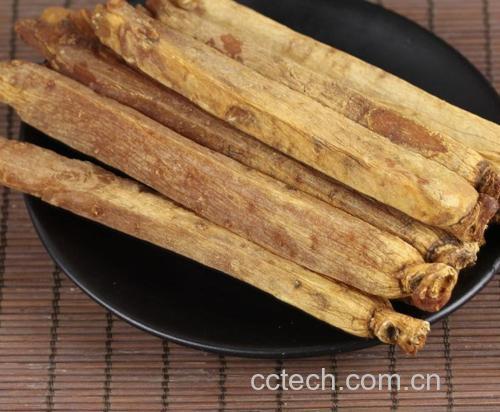 高丽参的特写照片