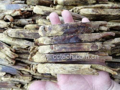 高丽参炖稀饭汤的制作过程图