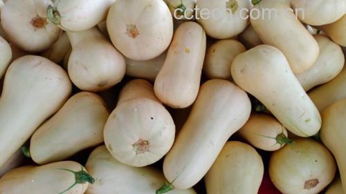 奶油南瓜炒菜成品图