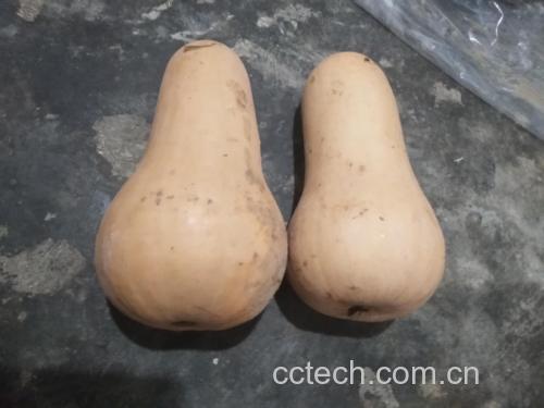 健康奶油南瓜替代做法示意图