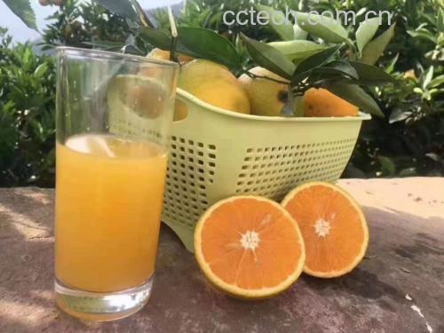 满杯香橙制作完成图