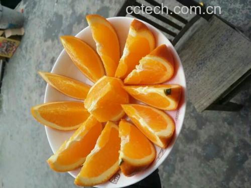 法式香橙烤鸭切片与配菜展示