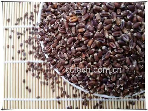 黑玛卡营养成分分析图表