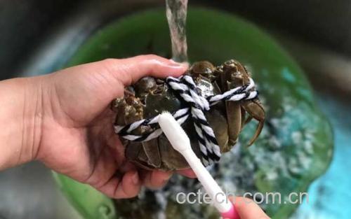 清洗大闸蟹