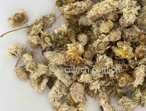 雏菊花朵与茶叶的组合