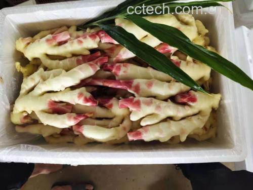 子姜切片图