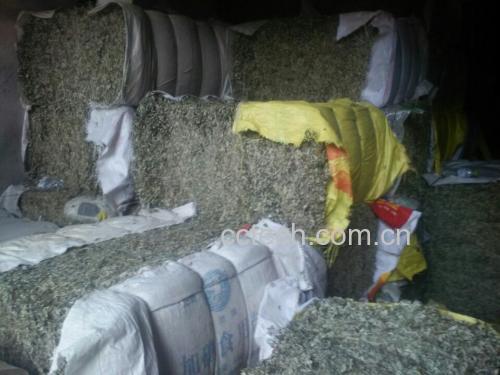 艾叶葱姜捣烂敷腰操作步骤