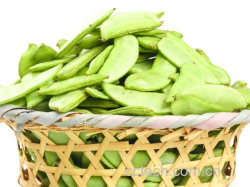 白扁豆实物图