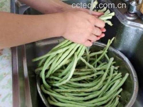 荷兰豆在厨房中清洗的场景