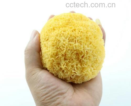 银耳手感与气味辨别图示