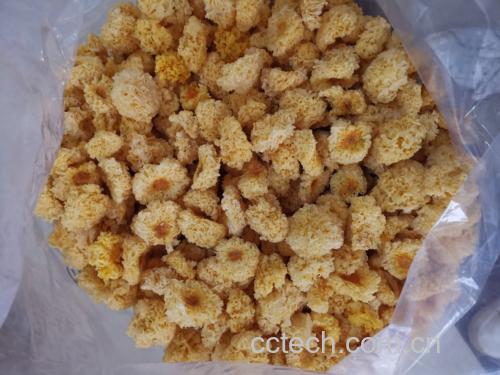 泡发完整的椴木银耳