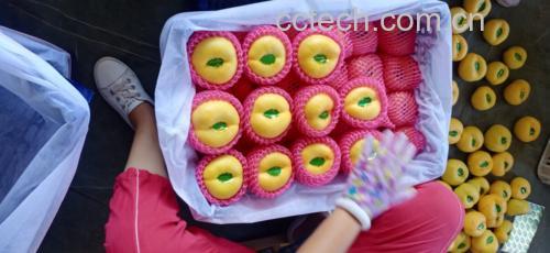 寿桃蛋糕成品图