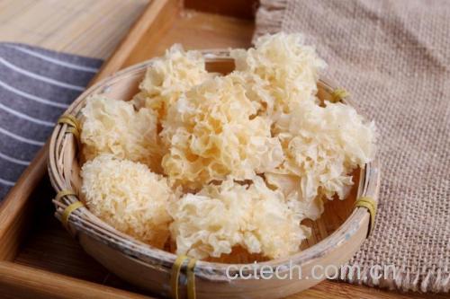 椴木银耳的原材料展示