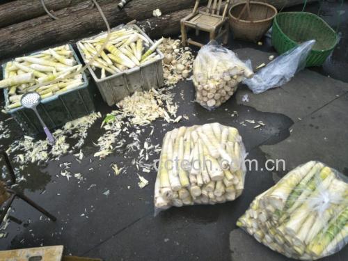 竹笋与泡椒原材料展示