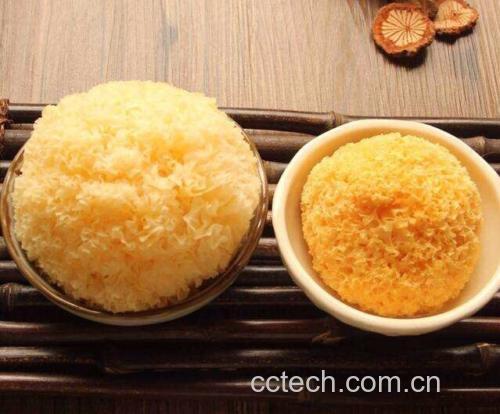 银耳与丑耳对比图