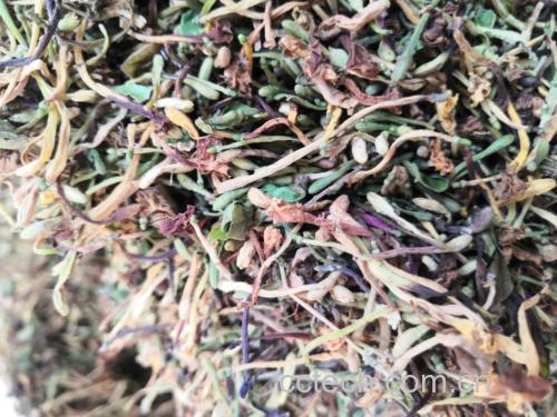 金银花干花与泡茶效果