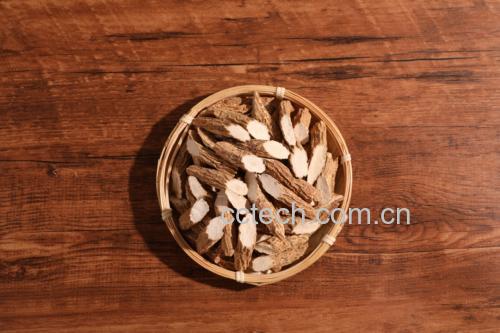 鹿鞭与牛大力泡酒材料展示
