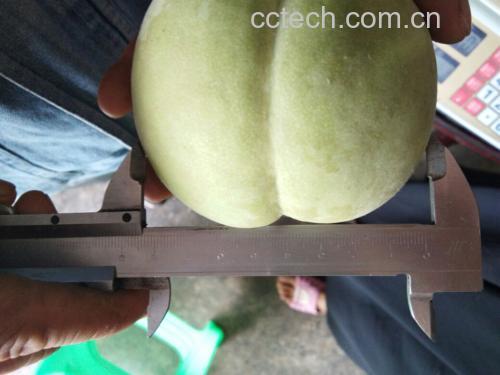 寿桃手工塑形过程图